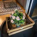 Cozy Nest Kazina Bara