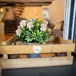 Cozy Nest Dom wakacyjny Kazina Bara