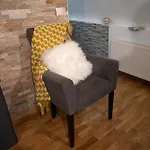 Cozy Nest Kazina Bara