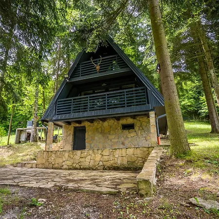 Cozy Nest Kazina Bara