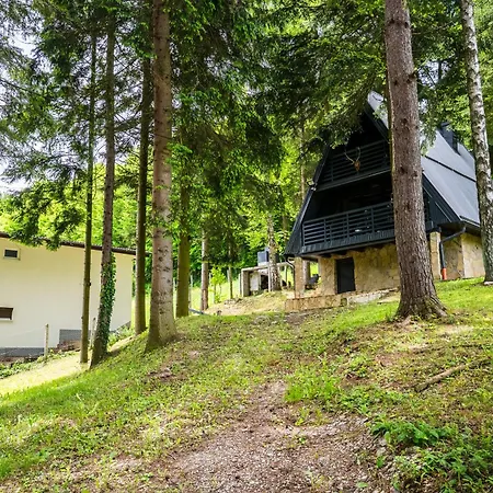 Cozy Nest Kazina Bara