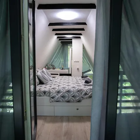 Cozy Nest Kazina Bara