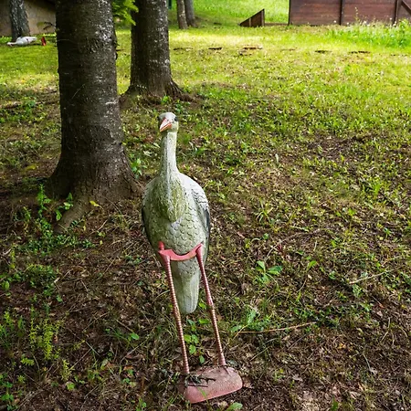 Prázdninový dům Cozy Nest