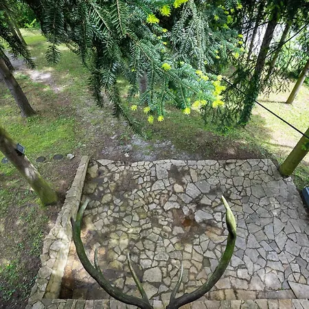Prázdninový dům Cozy Nest *