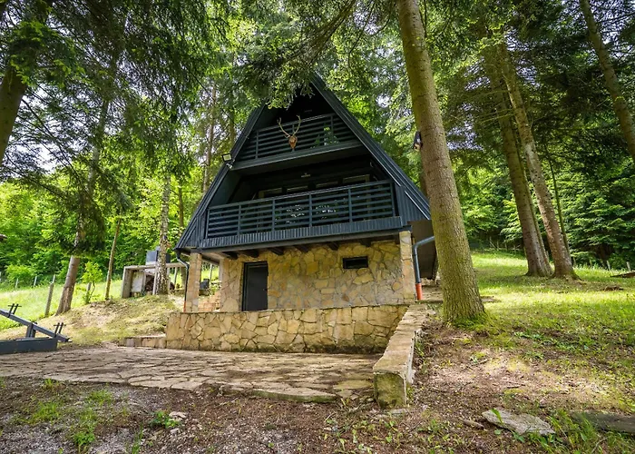 Cozy Nest Kazina Bara