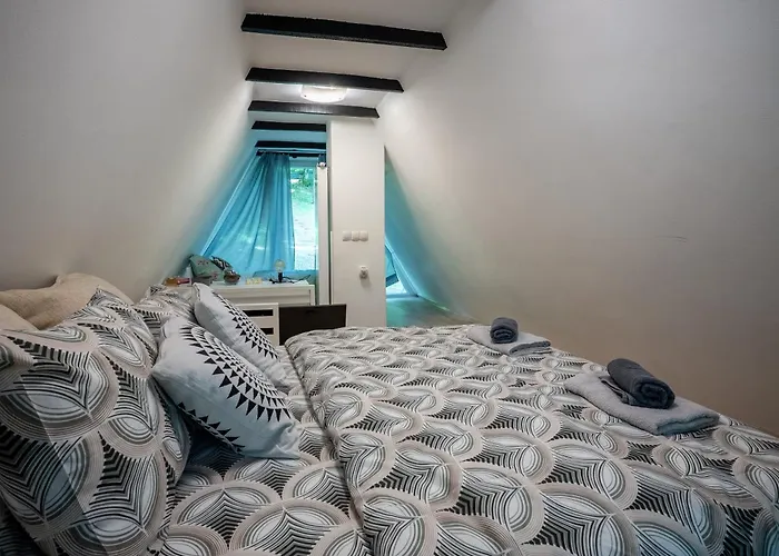 Cozy Nest Kazina Bara