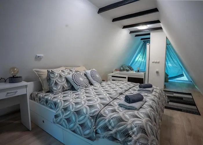 Cozy Nest Kazina Bara