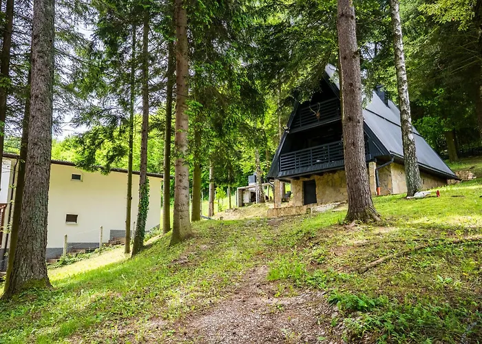 Cozy Nest Kazina Bara