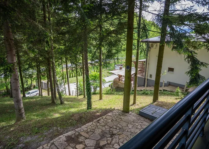 Cozy Nest Kazina Bara