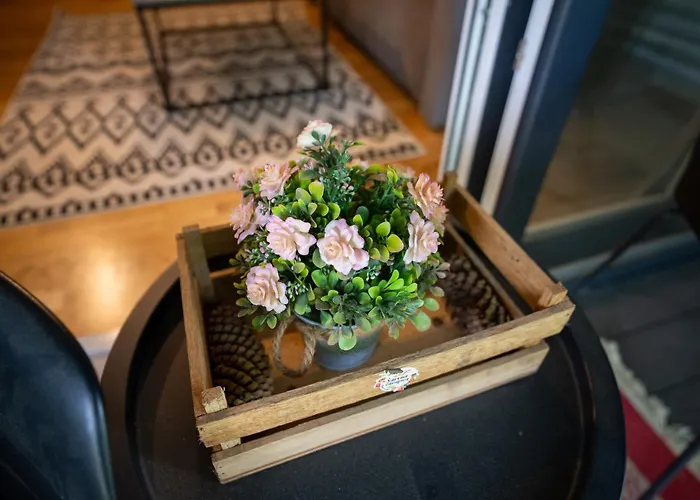 Cozy Nest Kazina Bara