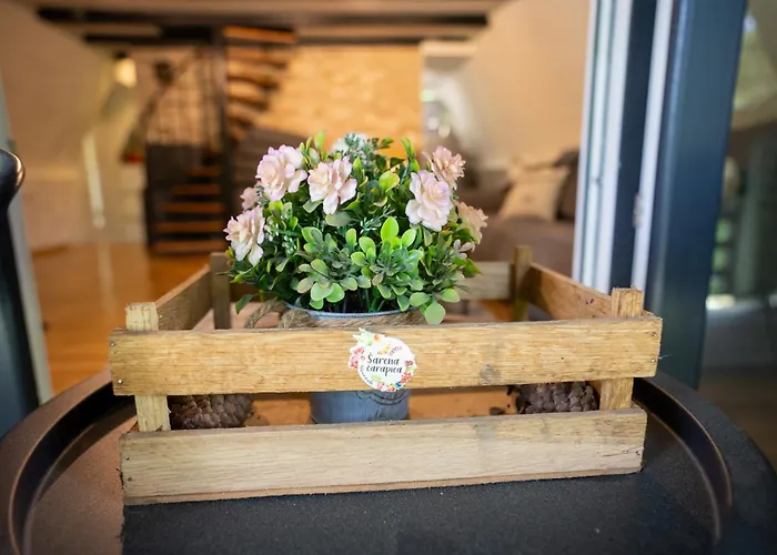 Cozy Nest 度假居 Kazina Bara