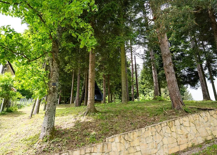 Cozy Nest Kazina Bara